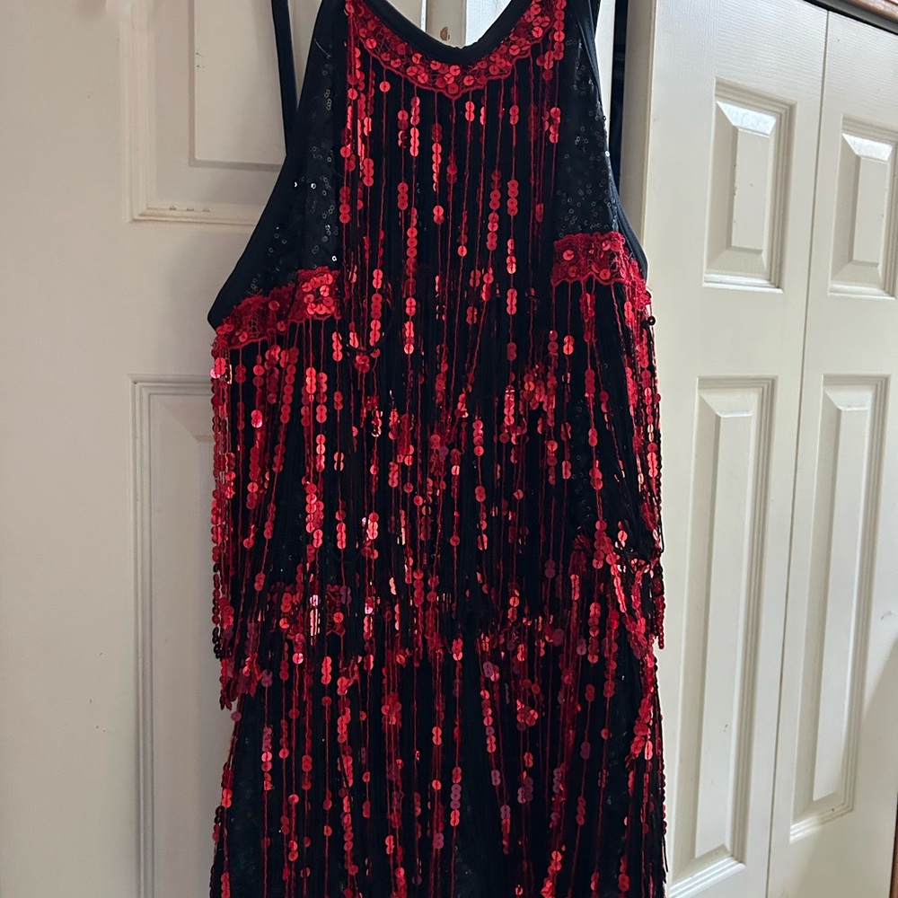 Awesome leotard flapper dress. Professional dance dress. Pain 110$